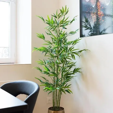 アパート Le De Catherine - Tres Bel Appt A *